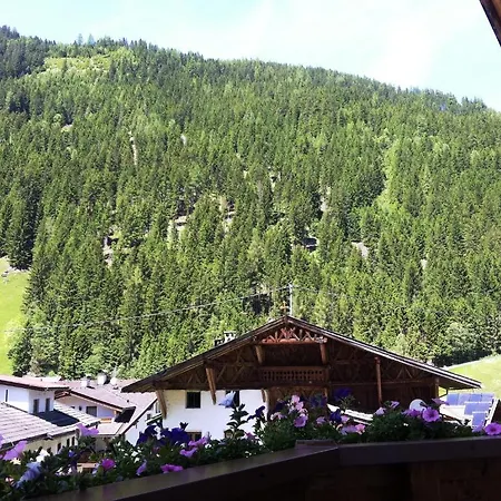 Penzion Haus Petra *