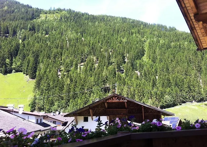 بيت ضيافة Haus Petra *